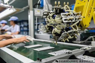 “手機教授”解析 大黑邊手機究竟值不值得買？